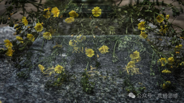 “虽换了一个时代，但精神的上甘岭，我们不该守住吗？”